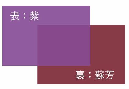 10月は「想紫苑（おもわれしおん）」カラー